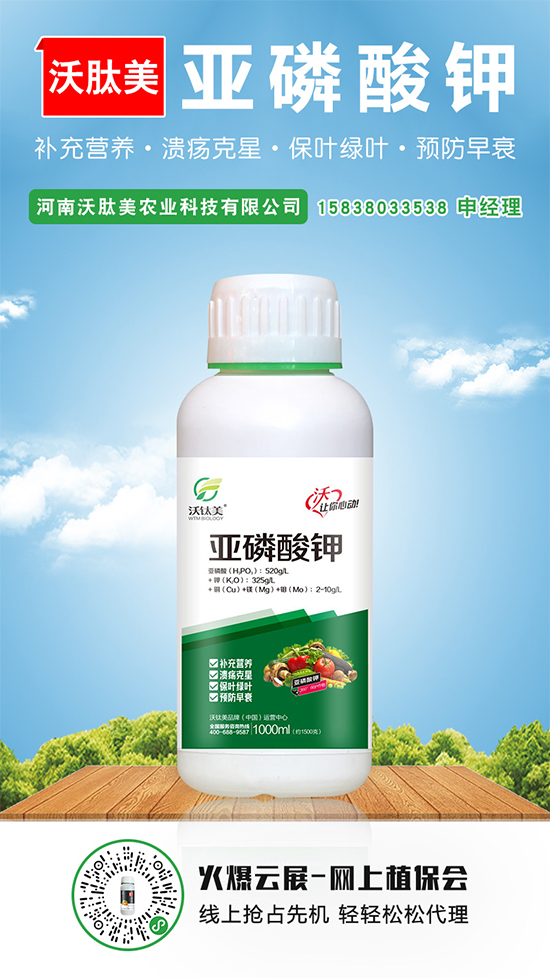 2020-5-16本周磷铵价格行情周报 2020-5-16本周磷铵价格行情周报