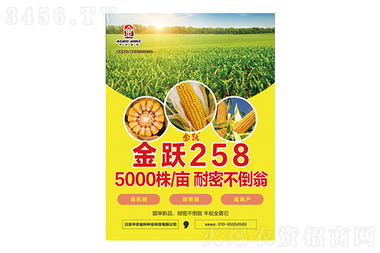 2021-3-4山东地区玉米价格收购报价一览 2021-3-4山东地区玉米价格收购报价一览